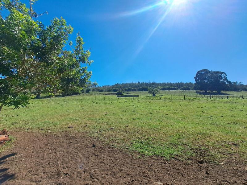 0 Bedroom Property for Sale in Kareedouw Eastern Cape